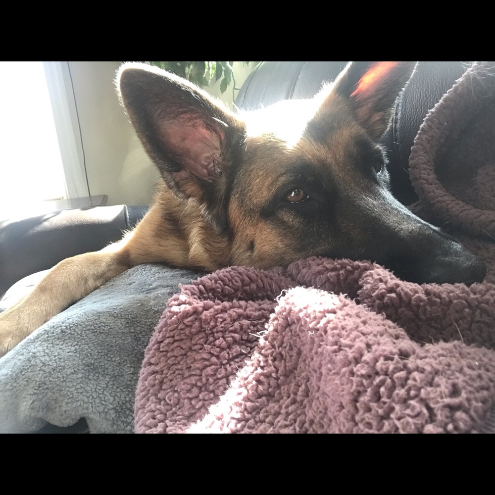 Meet your Posher, Megan